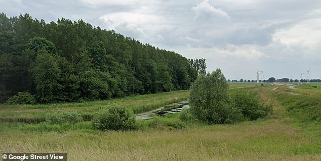 The teenager's body was discovered by a passerby in a swamp after prosecutors say her father orchestrated her murder