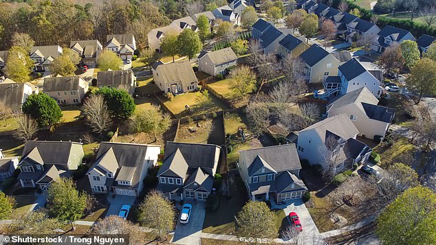 Pictured: A new development near Atlanta, Georgia, USA