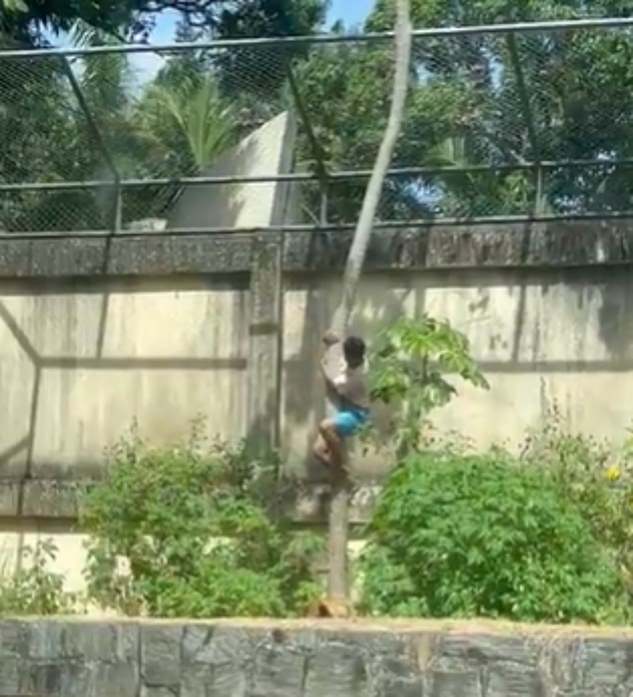 A man killed after jumping into a lion's enclosure at a Brazilian zoo has been identified as a 19-year-old who had previously tried to reach Africa as a plane stowaway to pursue his dream of training big cats