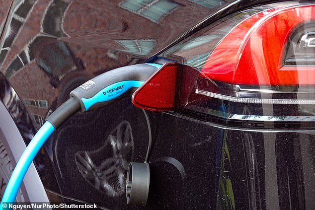 Ford and Polestar are just two car makers that have lambasted the Government's decision to introduce pay-per-mile taxation on EVs from 2028