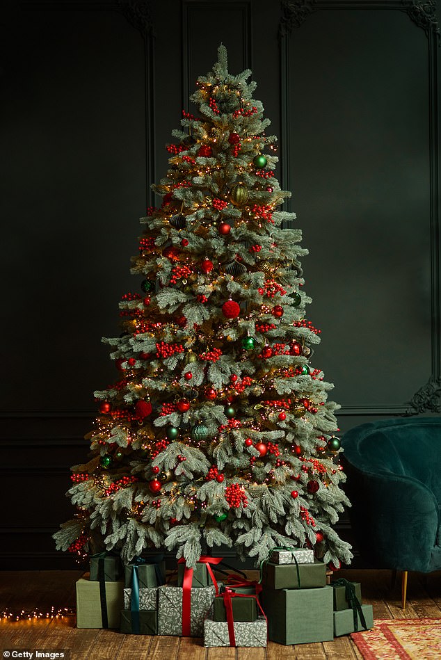 Traditional red and green is looking tired as a colour scheme (stock image)