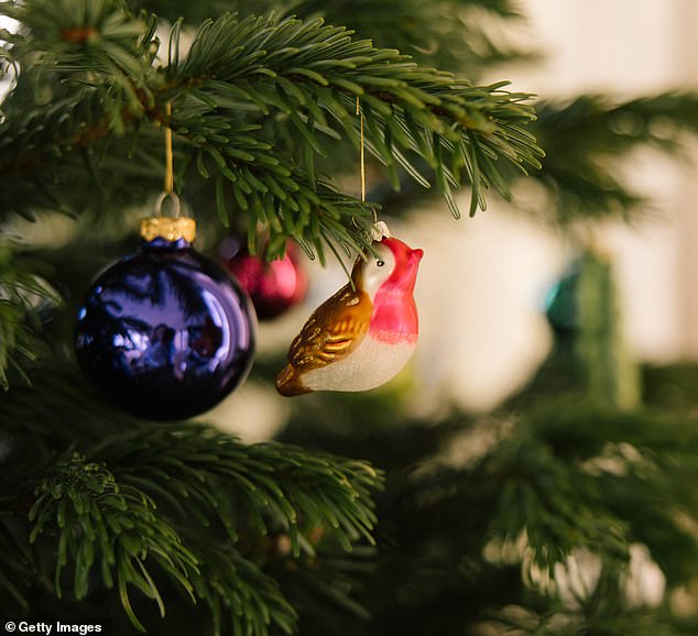 Robins and blue baubles should be banished from your brances (stock image)