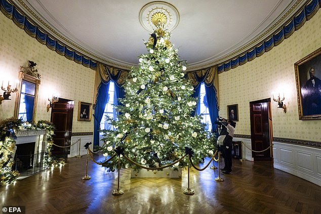 The Official White House Christmas Tree on display in the Blue Room of the White House
