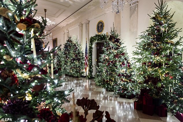 Christmas trees on display in the Center Hall of the White House