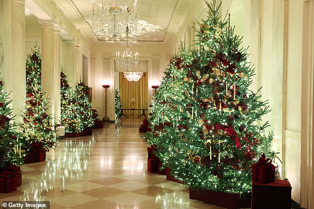 Christmas trees and holiday decorations surround the Cross Hall during an advance tour of the 2025 White House Christmas decorations on December 1
