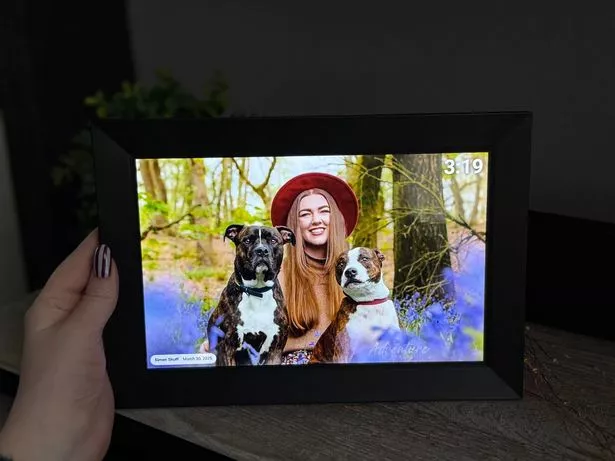 The frame is so bright with beautiful vibrant colours