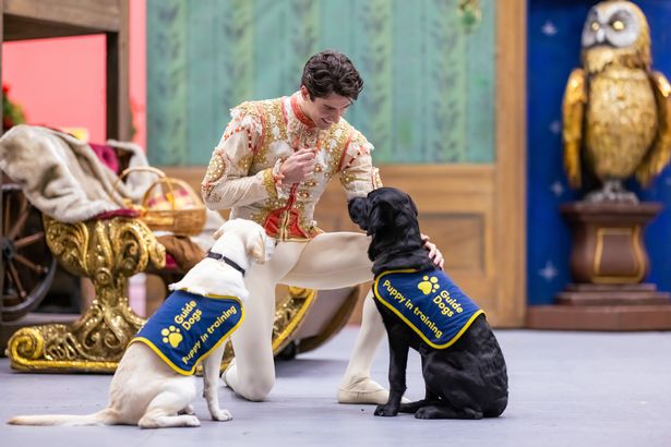 Reece Clarke with guide dog puppies 