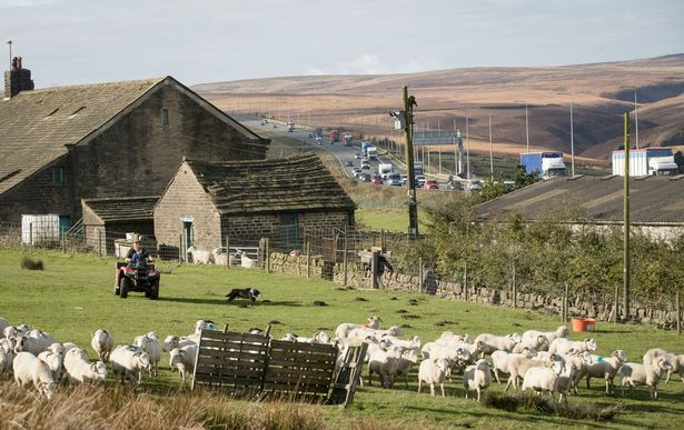 Stott Hall Farm M62 Yorkshire farmhouse sheep